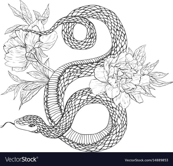 Змея рисунок карандашом для срисовки