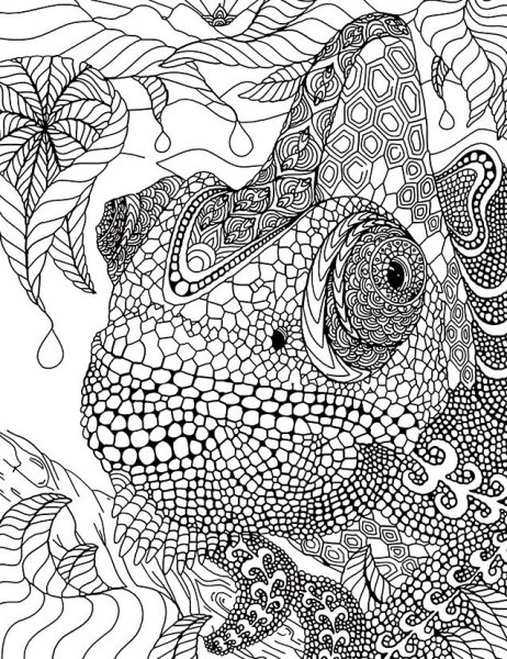 Раскраски сложные и красивые