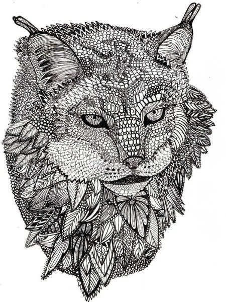 Раскраска антистрантистрес