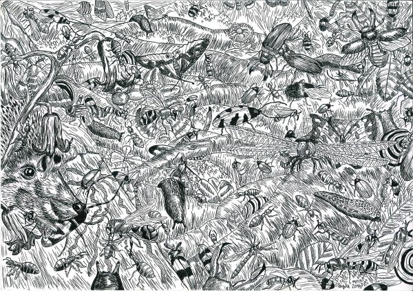 Самый сложный рисунок в мире