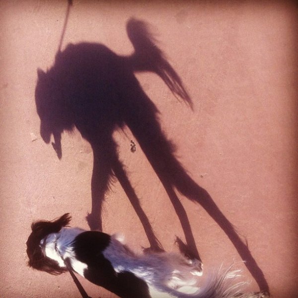 Непонятная тень