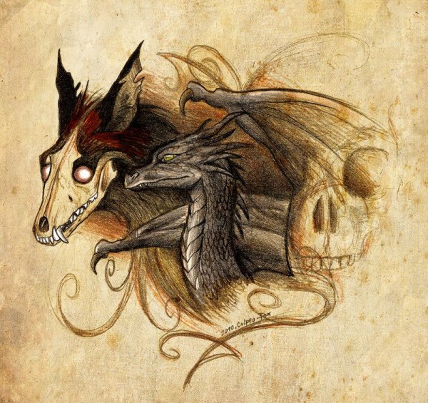 Culpeo Fox художник