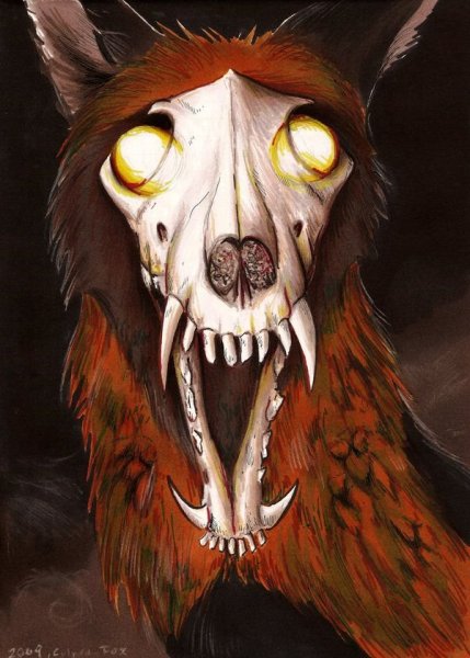 Culpeo Fox демон