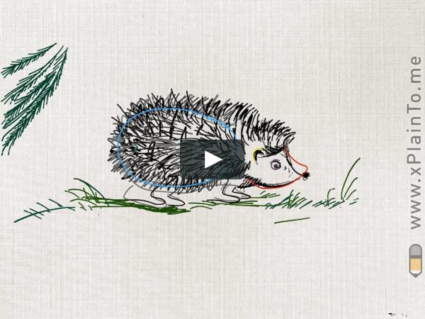 Рисование ежика 1 класс
