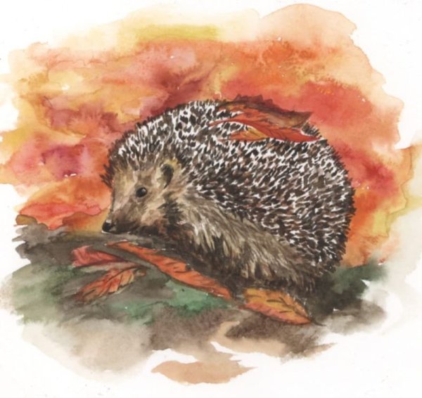 Картина Ежик