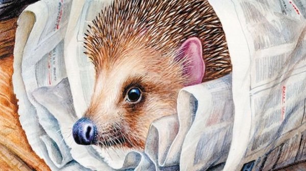 Михаил пришвин еж