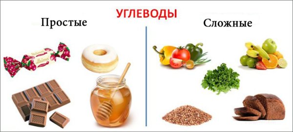 Простые и сложные углеводы