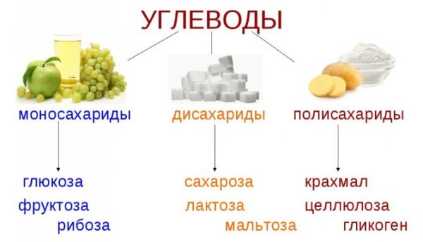 Элементы состава углеводов