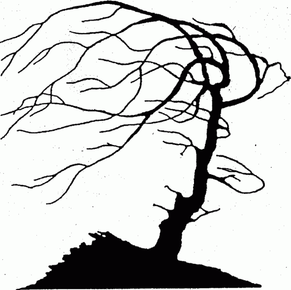 Апперцепция Блейк