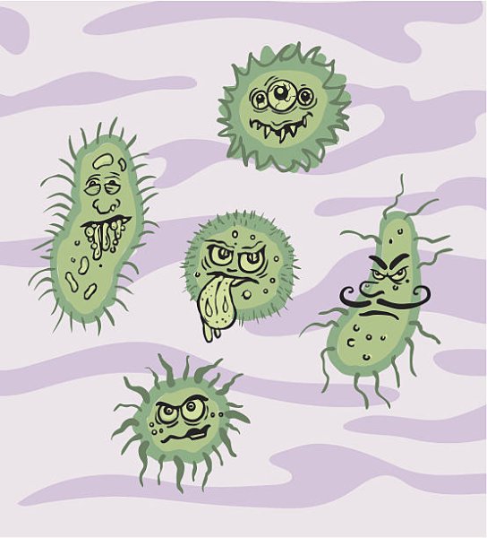 Бактерии, патогенные микроорганизмы вирусы