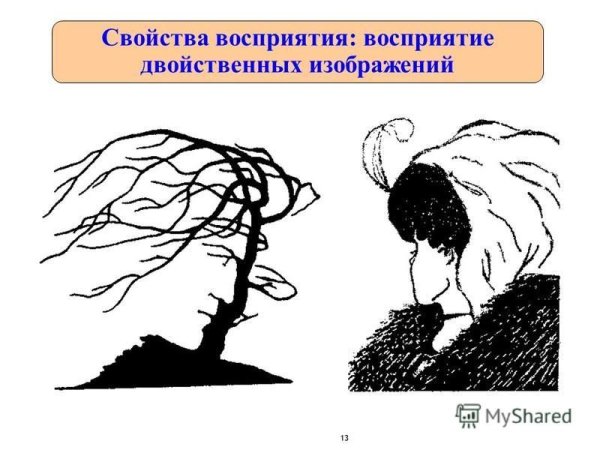 Свойства восприятия иллюстрации