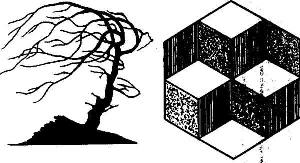 Объект восприятия