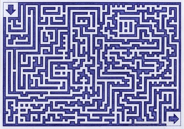 Сложные лабиринты для взрослых