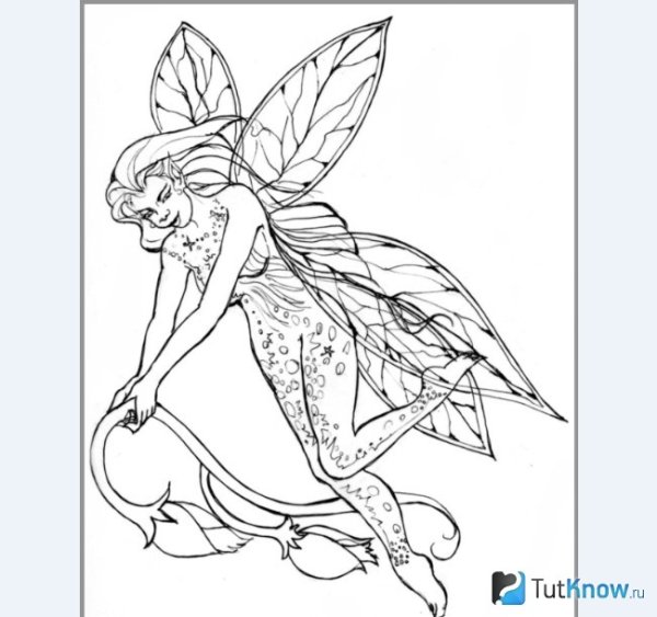 Прекрасные феи. Раскраска