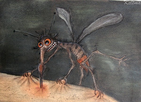 Комар картина