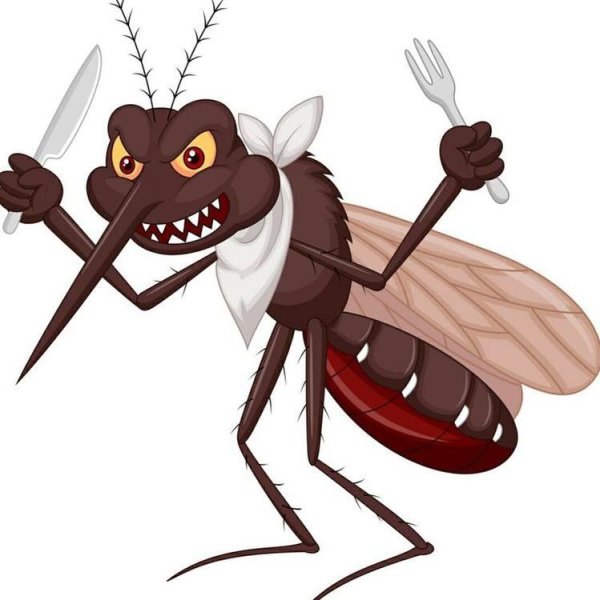 Смешной комар