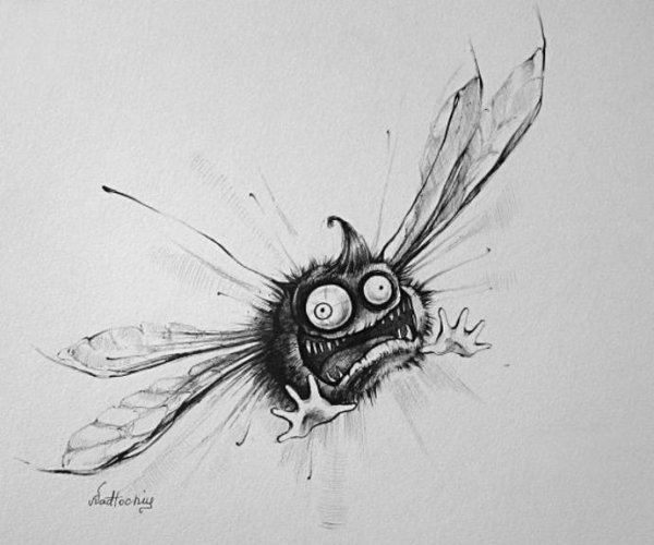 Бешеная Муха