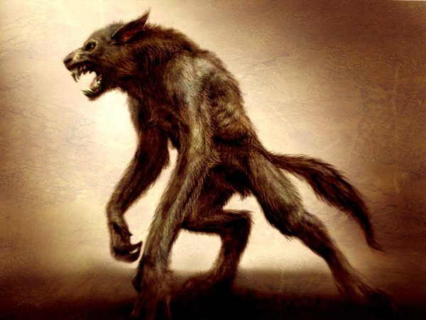 Вольф Вольф человек волк