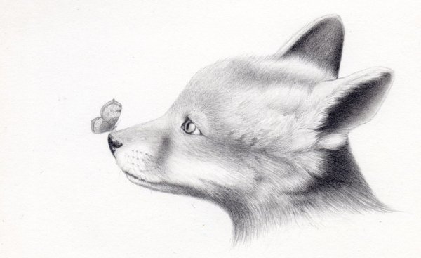 Рисунки лисицы Кицунэ карандашом