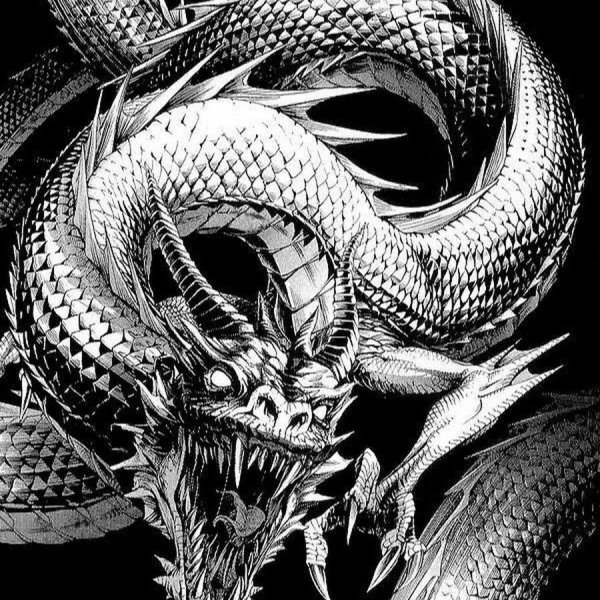 Драгон разукрашки