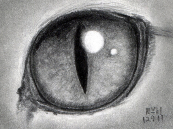 Зрачок глаза карандашом