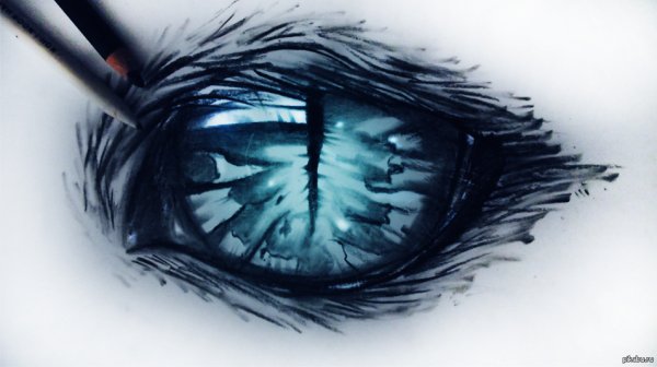 Множество глаз