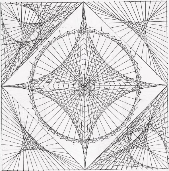 Обвести птицу по контуру