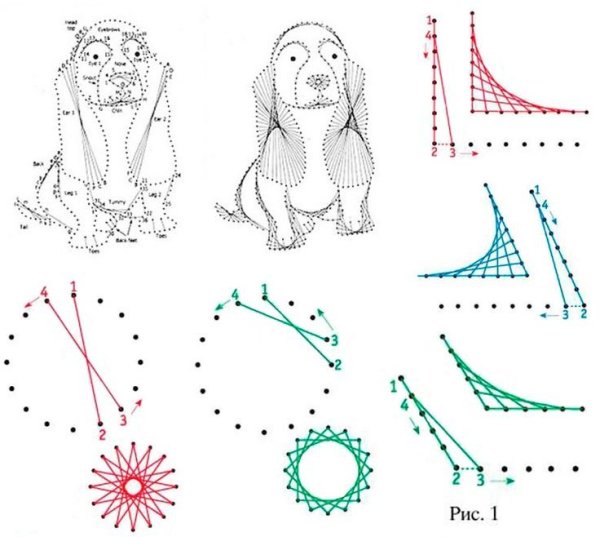 Изонить птица схема