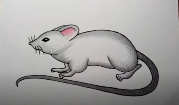Нарисованная мышь Легел