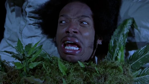 Очень страшное кино 2 приведение