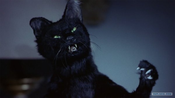 Фильм очень страшное кино 1 крик