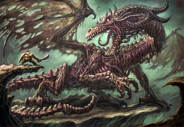 Драколич Драгота