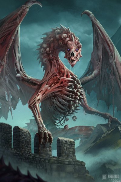 Драколич Драгота