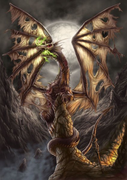 Драколич Драгота