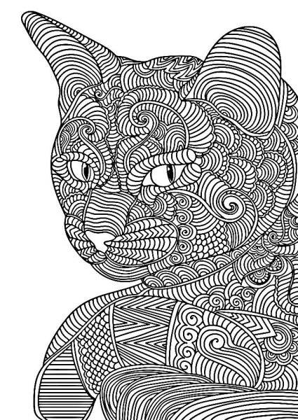 Раскраска антистресс