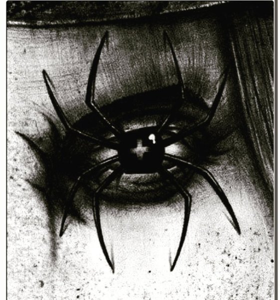 Глаза паука
