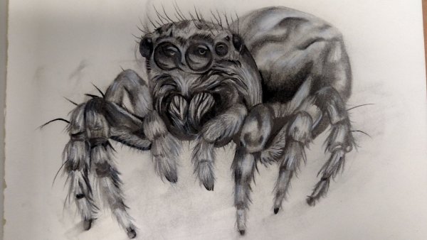 Страшные рисунки карандашом