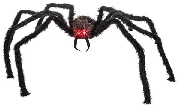 Паук с красными глазами