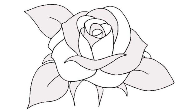 Цветы для срисовки лёгкие