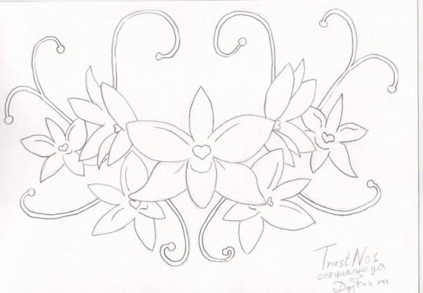 Раскраска роза цветок