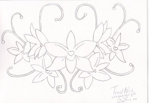 Рисунки карадашомцветы