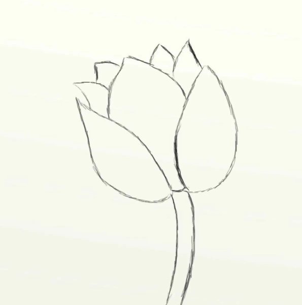 Цветы для срисовки лёгкие