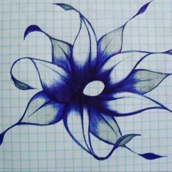 Рисунки карандашом для срисовки