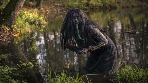 Кикимора Болотная Ведьмак