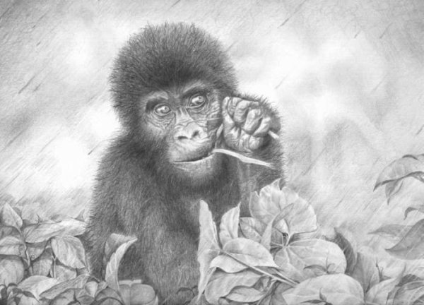 Обезьяна карандашом