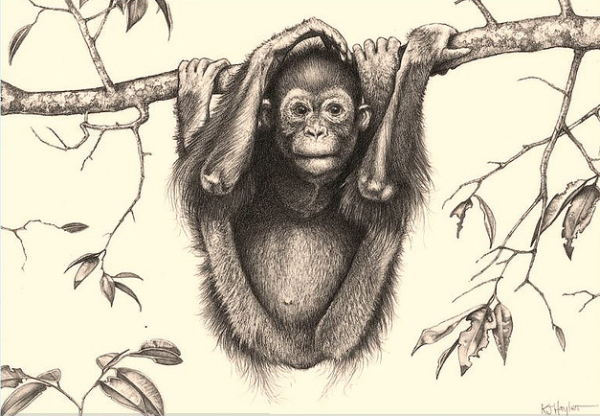 Раскраска антистресс обезьяна