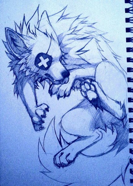 Рисунок волка карандашом для срисовки