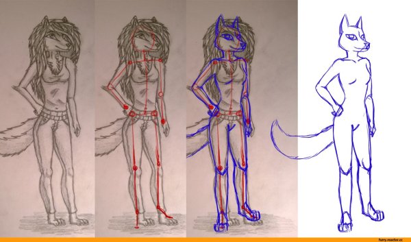 Фурри для рисования