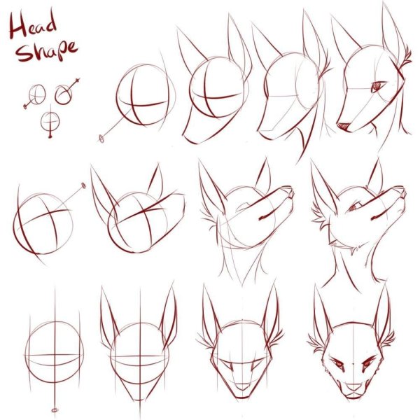 Уши лисы референс