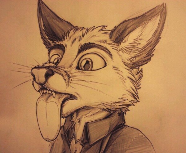 Рисунки фурри